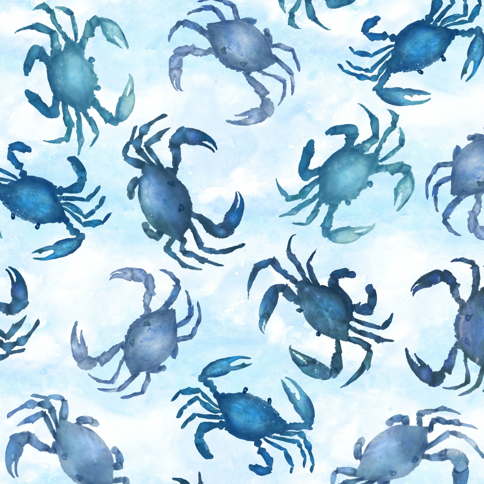Quilt Backs 