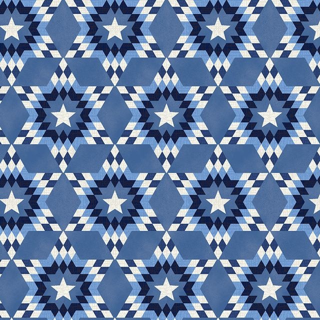 Quilt Backs 