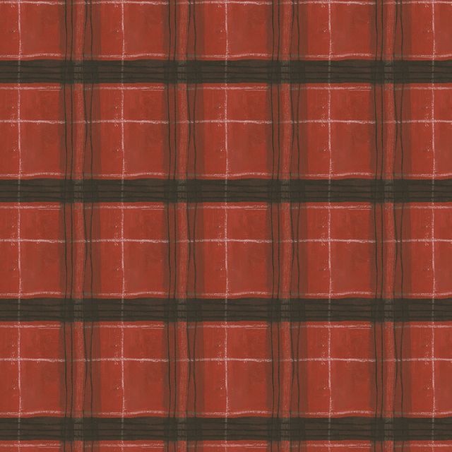The Plaid One