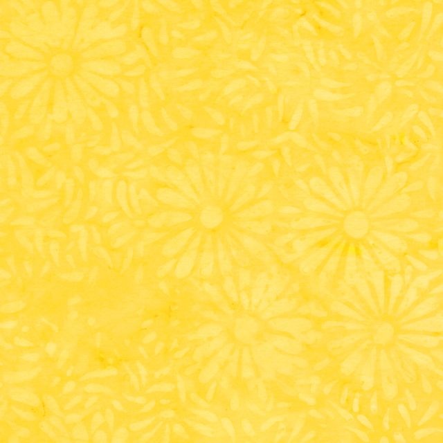 Daisy Petals by Jacqueline De Jonge