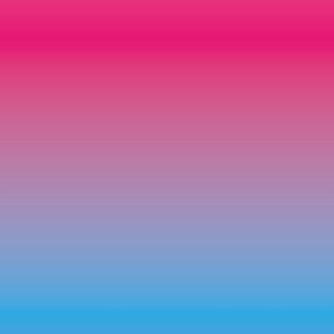 DESIGNER ROLLS RAINBOW SOLIDS 2.5" 