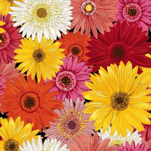 Flower Market 